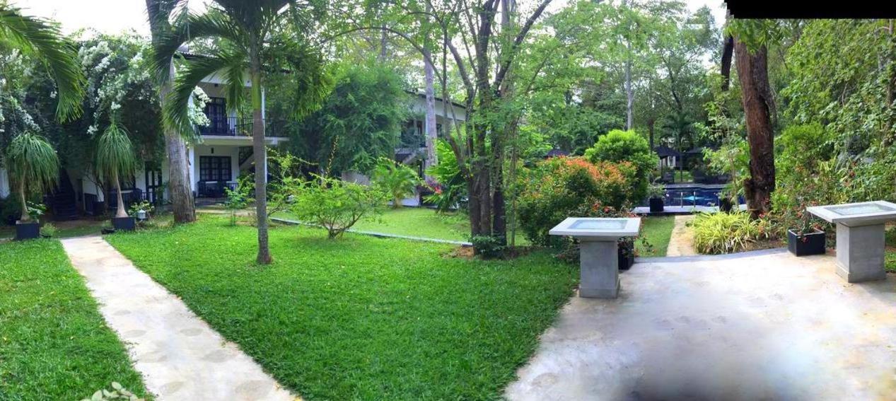 Flower Garden Eco Village Sigiriya Luaran gambar